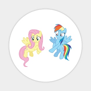 Fluttershy and Rainbow Dash gotcha! Magnet